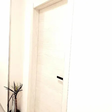 Andirivieni דירה *